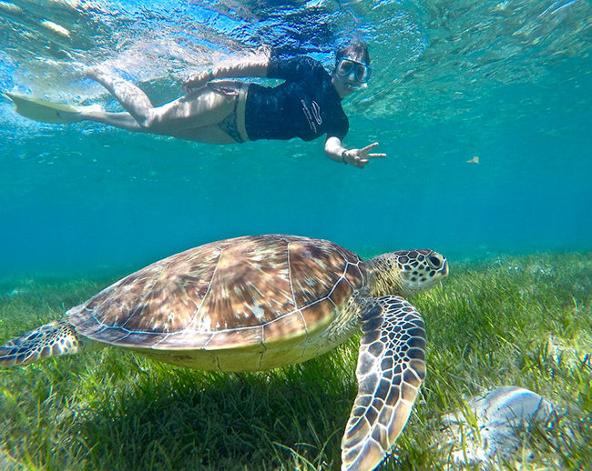 cosa vedere in Queensland