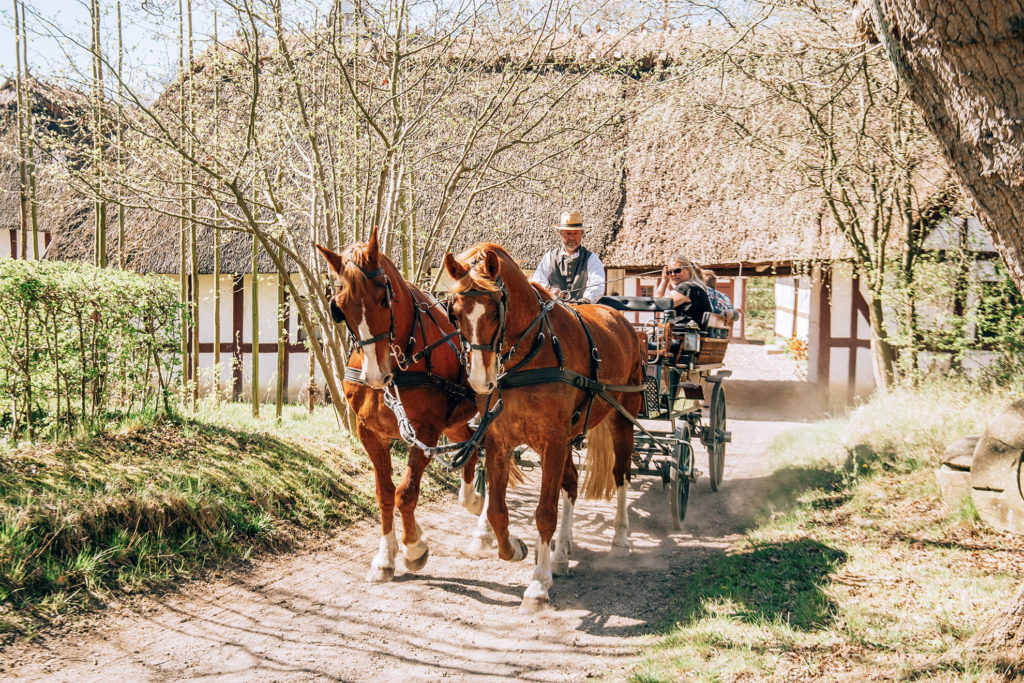 Odense funen village