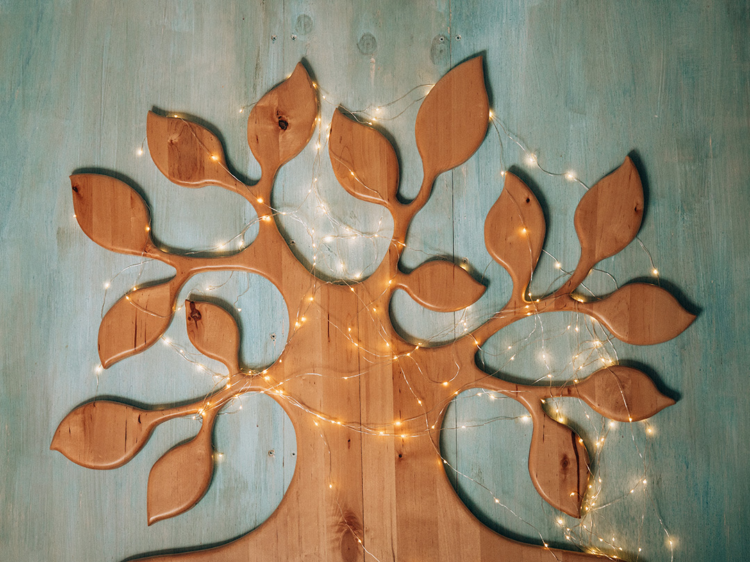 interno casa sull'albero