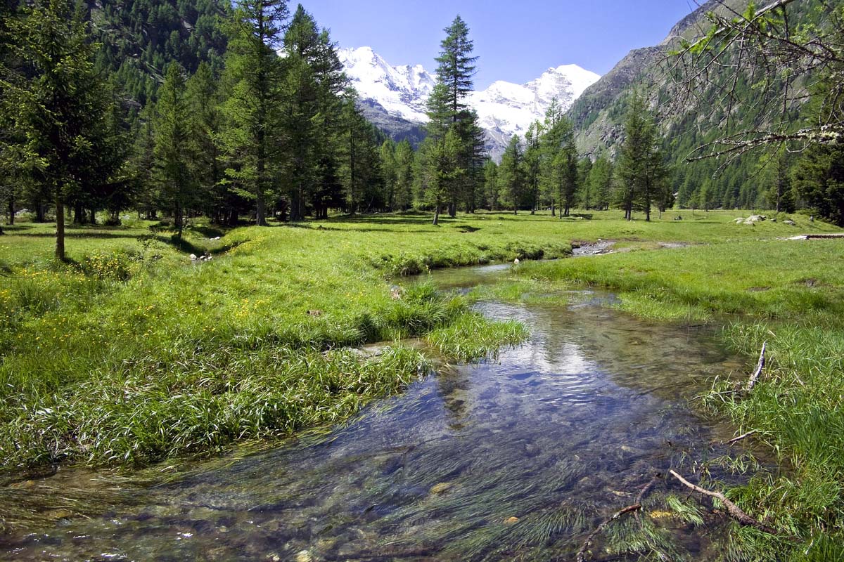 Cosa vedere in Piemonte Parco Paradiso