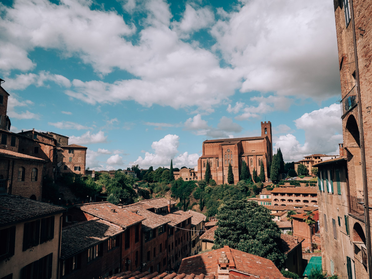siena