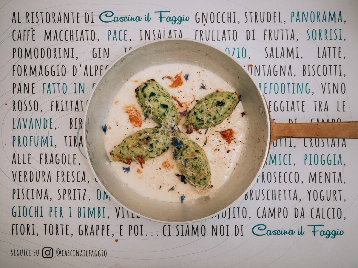 Conca dei rododendri cascina il faggio