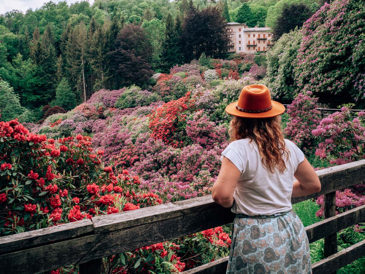 conca dei rododendri Oasi Zegna