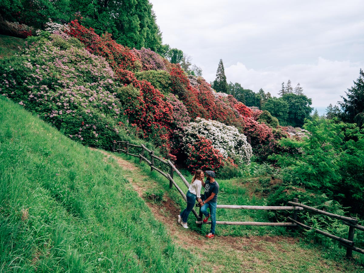 Conca dei Rododendri Parco della Burcina