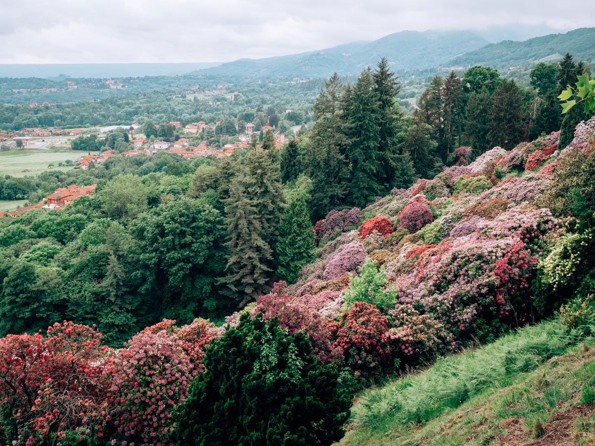 Conca dei Rododendri Parco della Burcina