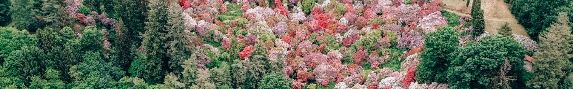 conca dei rododendri