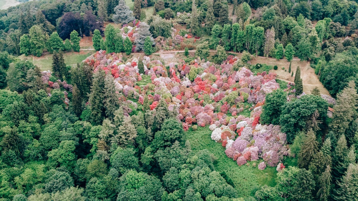 Conca dei rododendri parco della buccina